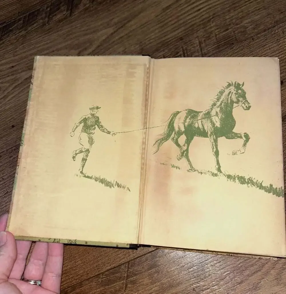 Black Beauty by Anna Sewell The World Publishing Company Vintage Hardcover